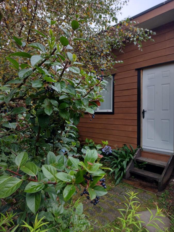 Borde Lago IV - V Puerto Varas Exterior photo